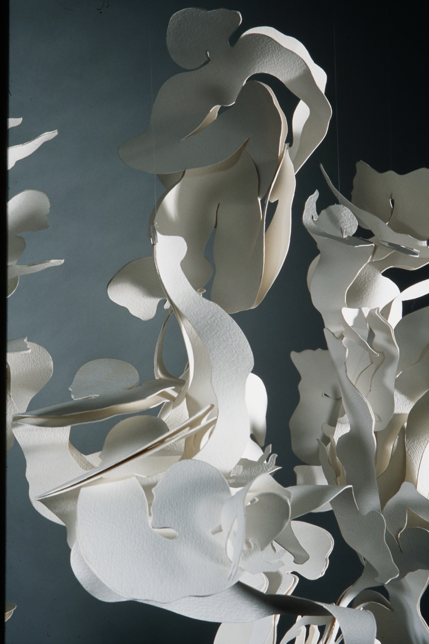 Exposition "Abel"
